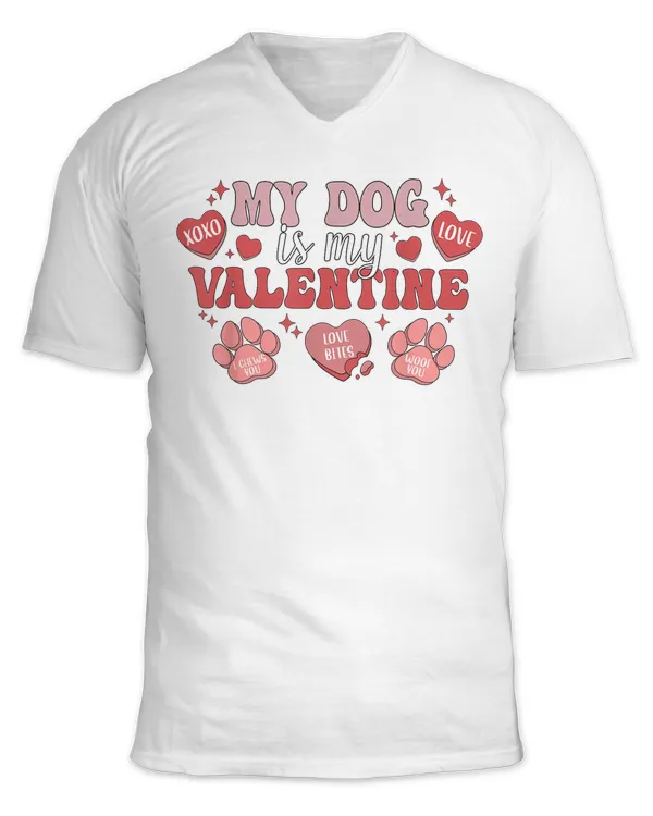 Unisex Jersey SS V-Neck T-Shirt