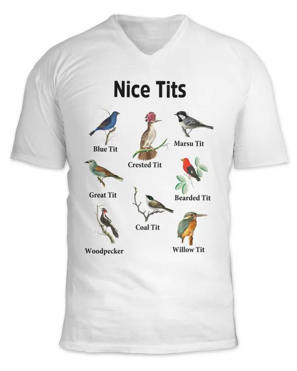 Unisex Jersey SS V-Neck T-Shirt