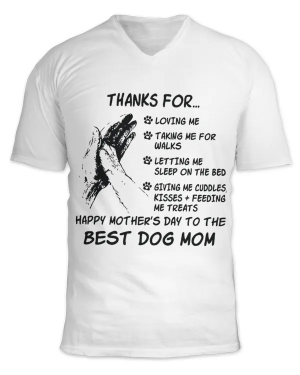 Unisex Jersey SS V-Neck T-Shirt
