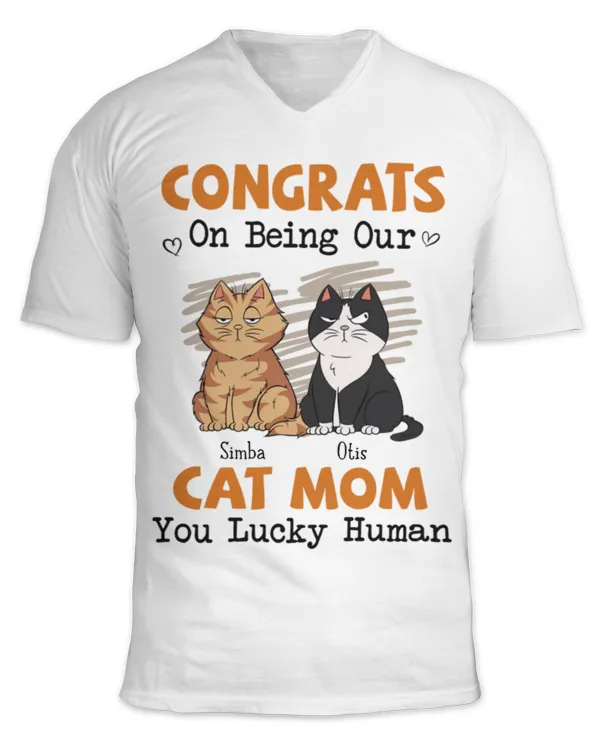 Unisex Jersey SS V-Neck T-Shirt