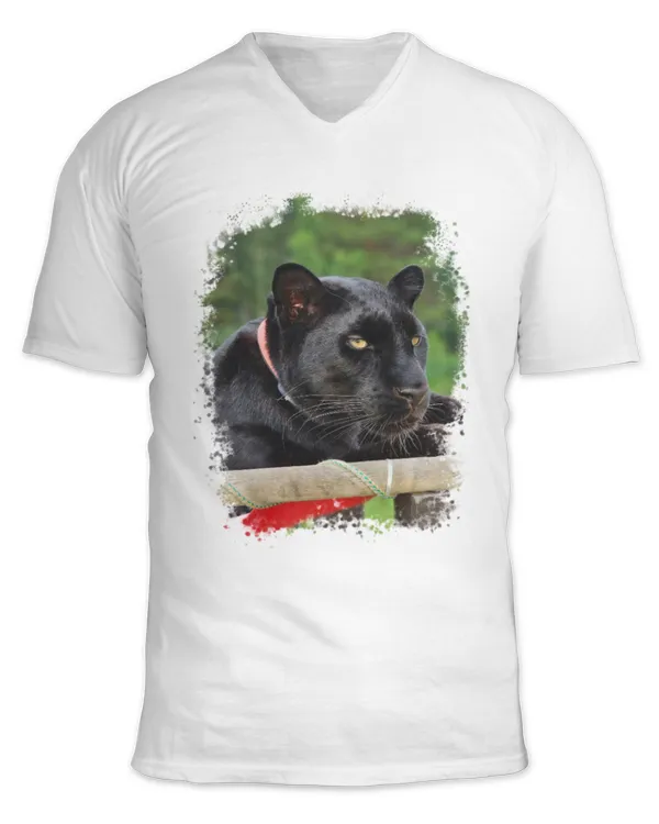 Unisex Jersey SS V-Neck T-Shirt
