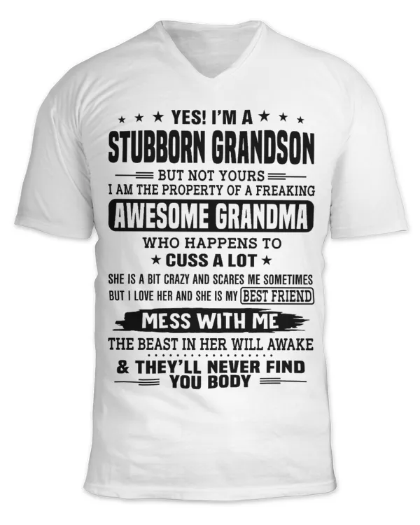 Unisex Jersey SS V-Neck T-Shirt