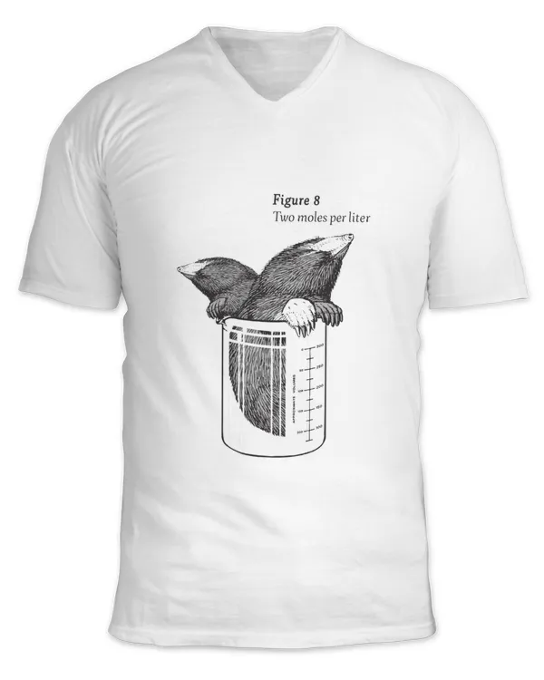 Unisex Jersey SS V-Neck T-Shirt