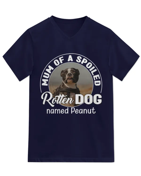 Unisex Jersey SS V-Neck T-Shirt