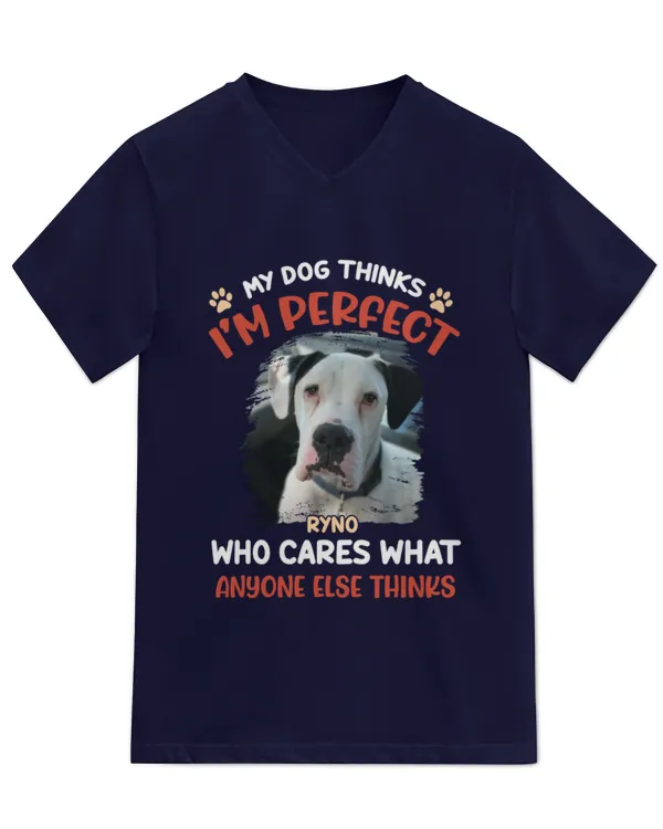 Unisex Jersey SS V-Neck T-Shirt