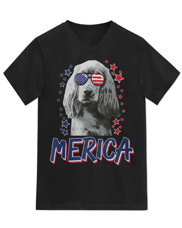 Unisex Jersey SS V-Neck T-Shirt