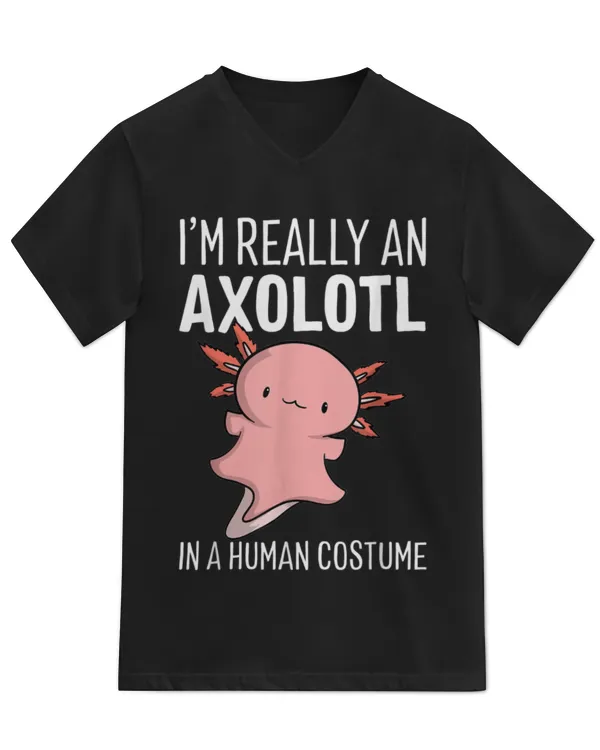 Unisex Jersey SS V-Neck T-Shirt
