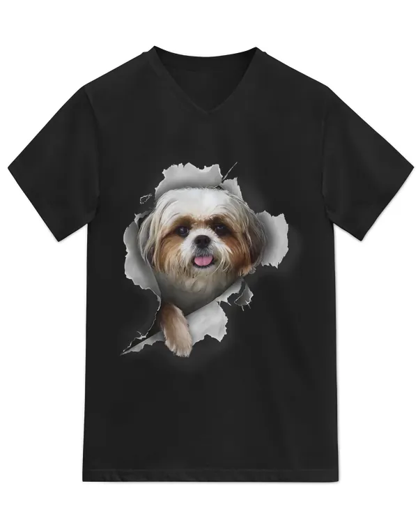 Unisex Jersey SS V-Neck T-Shirt