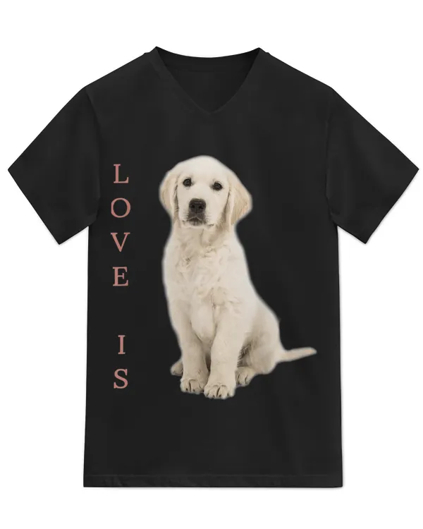 Unisex Jersey SS V-Neck T-Shirt