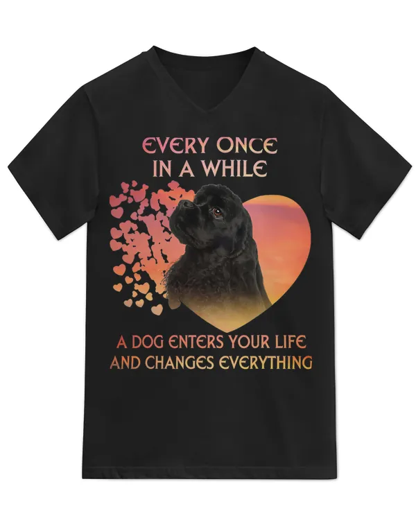Unisex Jersey SS V-Neck T-Shirt