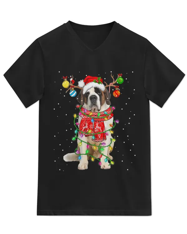 Unisex Jersey SS V-Neck T-Shirt