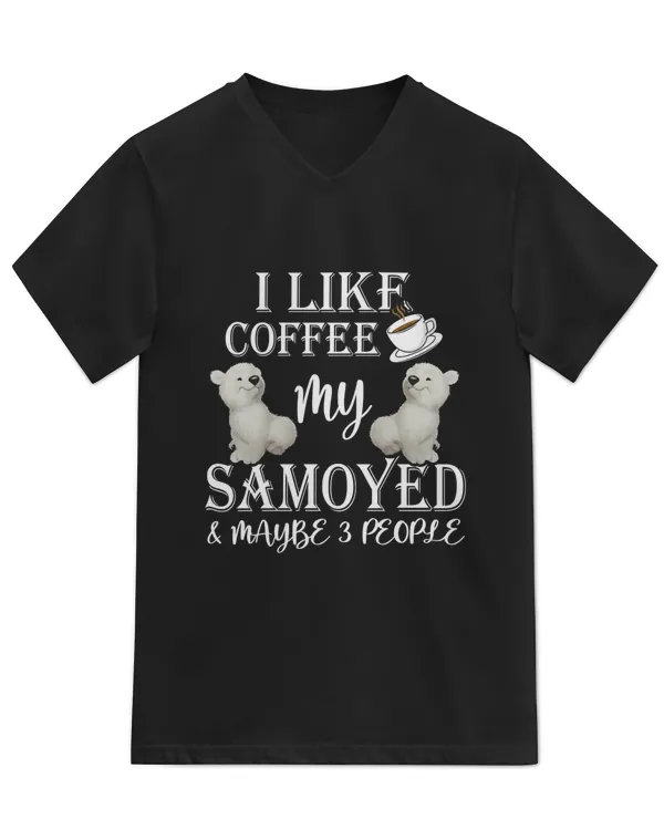 Unisex Jersey SS V-Neck T-Shirt