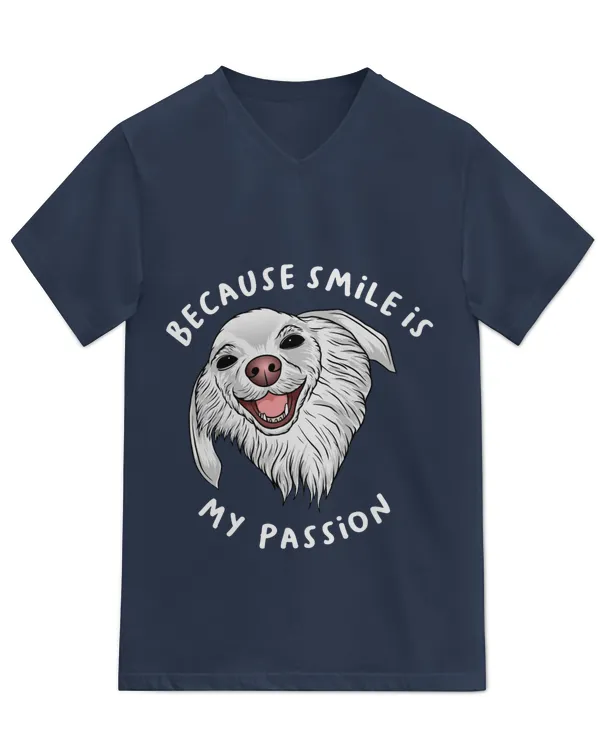 Unisex Jersey SS V-Neck T-Shirt