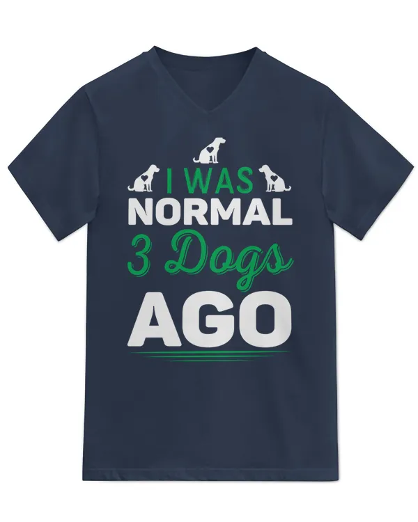 Unisex Jersey SS V-Neck T-Shirt