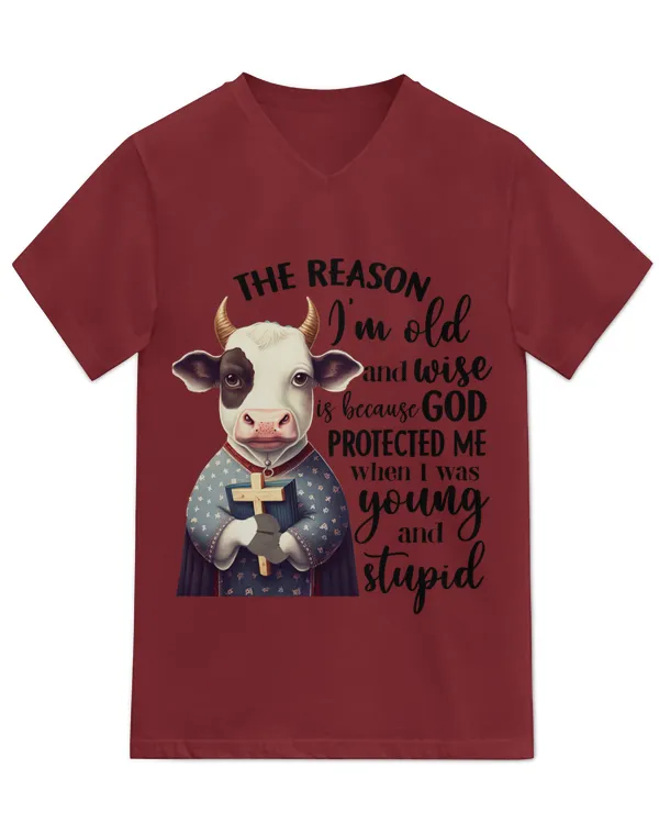 Unisex Jersey SS V-Neck T-Shirt
