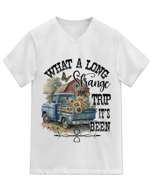 Unisex Jersey SS V-Neck T-Shirt
