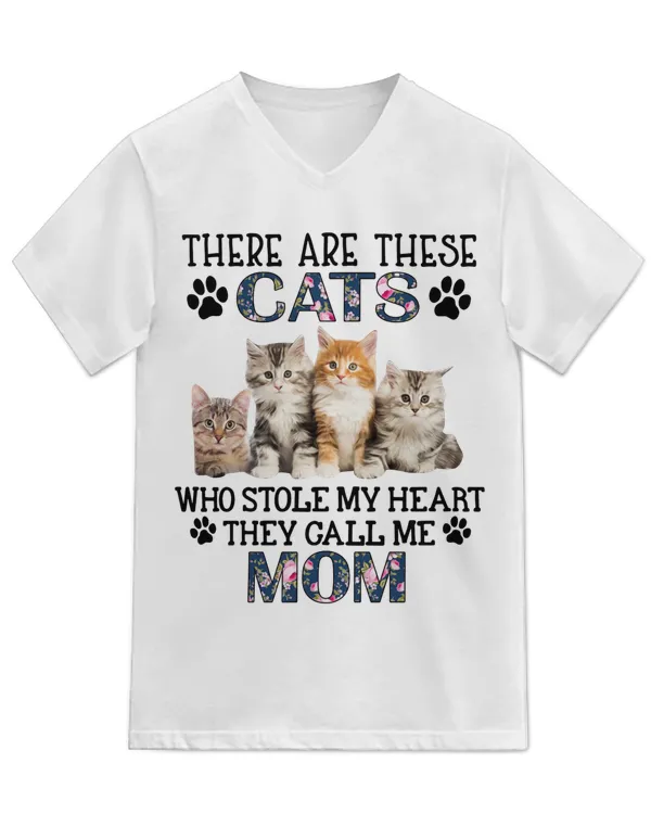 Unisex Jersey SS V-Neck T-Shirt