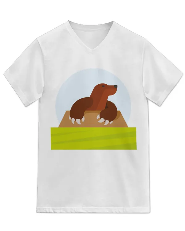 Unisex Jersey SS V-Neck T-Shirt