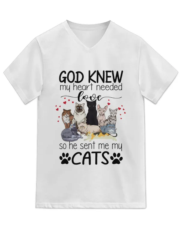 Unisex Jersey SS V-Neck T-Shirt