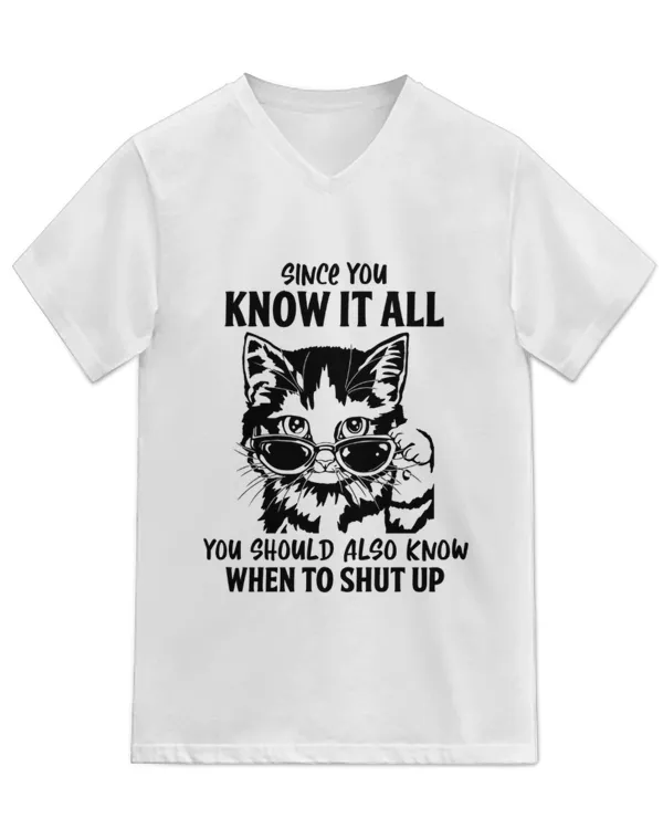 Unisex Jersey SS V-Neck T-Shirt