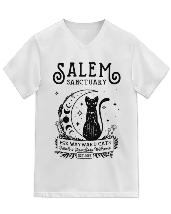 Unisex Jersey SS V-Neck T-Shirt