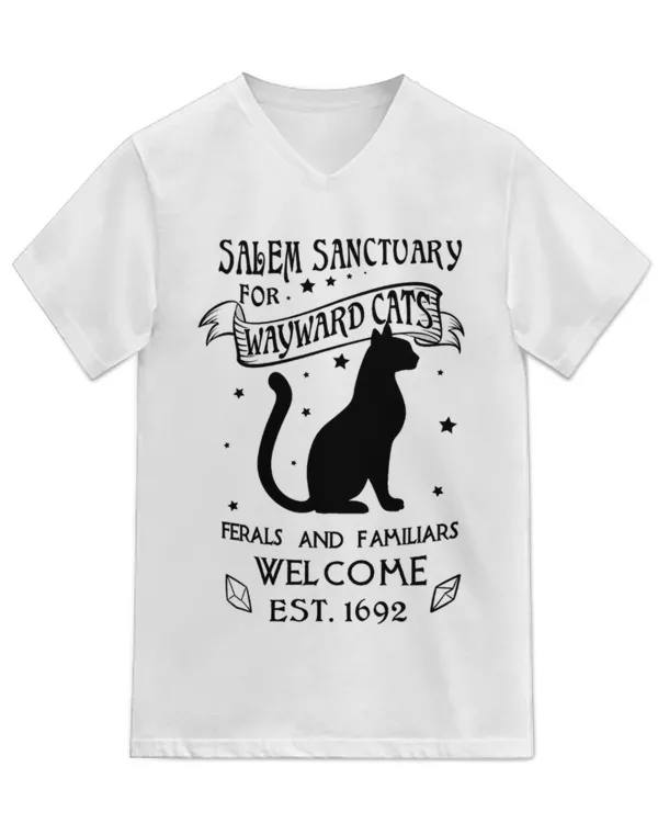 Unisex Jersey SS V-Neck T-Shirt