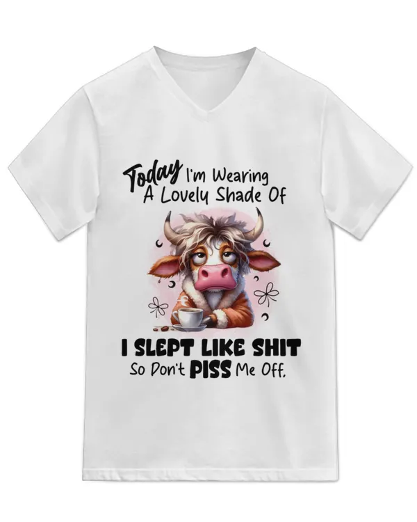 Unisex Jersey SS V-Neck T-Shirt
