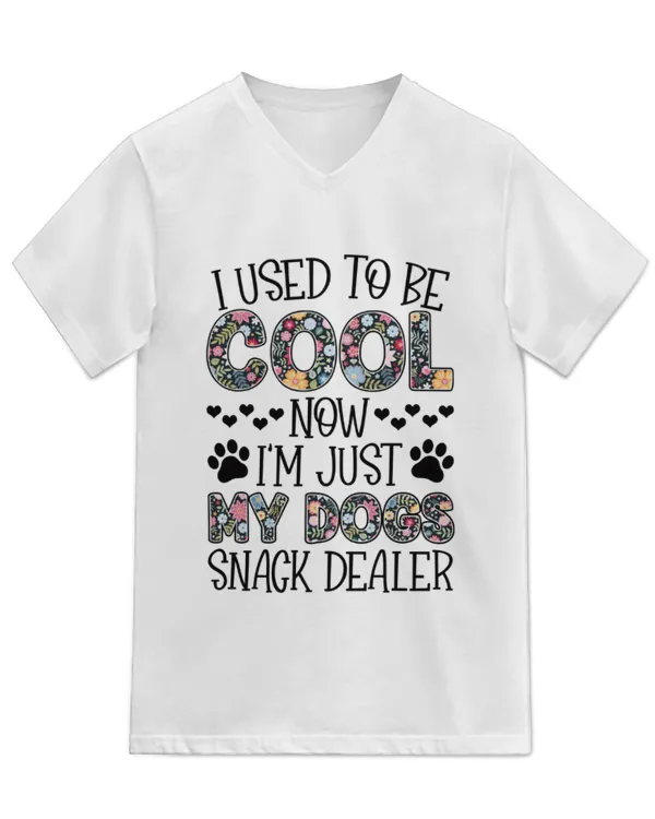 Unisex Jersey SS V-Neck T-Shirt