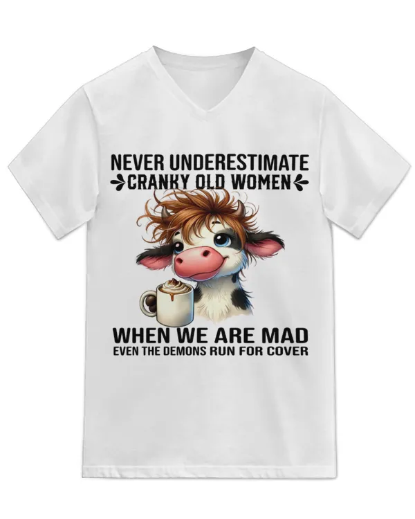 Unisex Jersey SS V-Neck T-Shirt