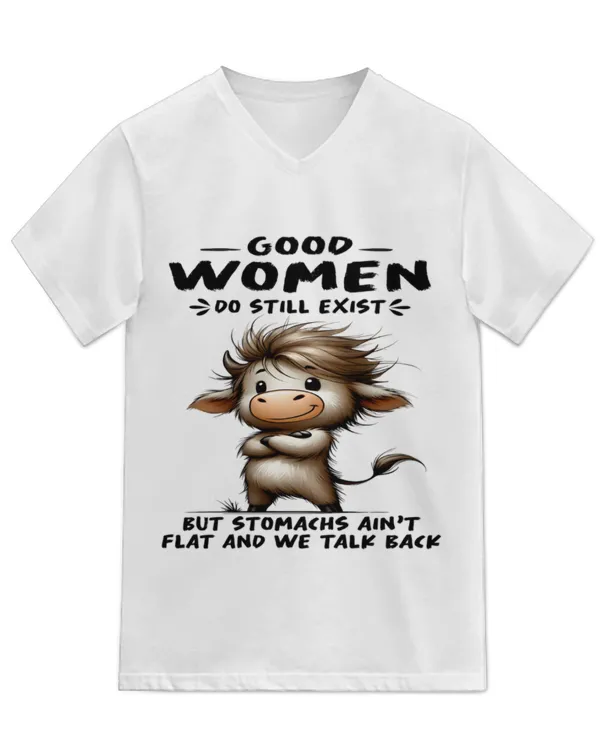 Unisex Jersey SS V-Neck T-Shirt