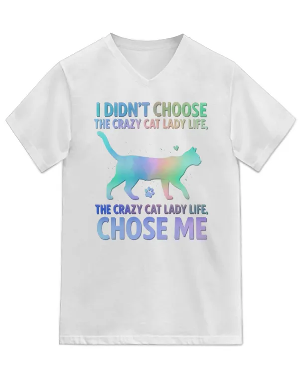 Unisex Jersey SS V-Neck T-Shirt