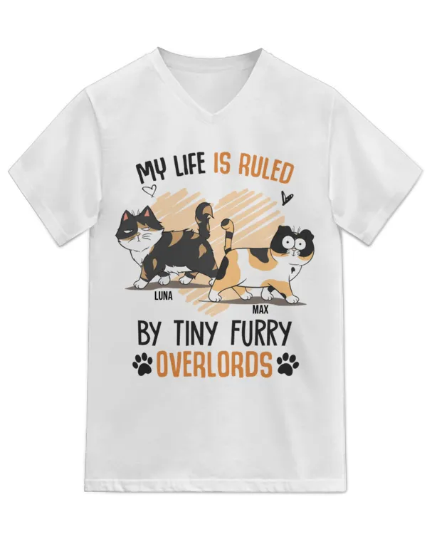 Unisex Jersey SS V-Neck T-Shirt