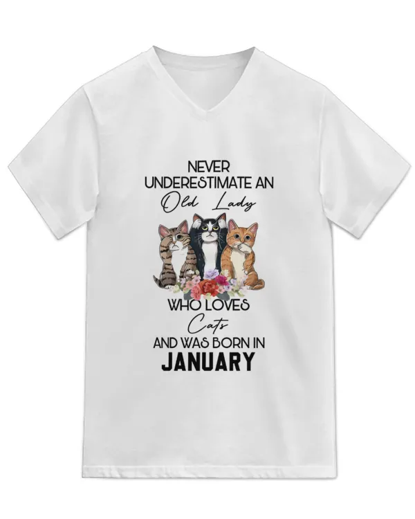 Unisex Jersey SS V-Neck T-Shirt