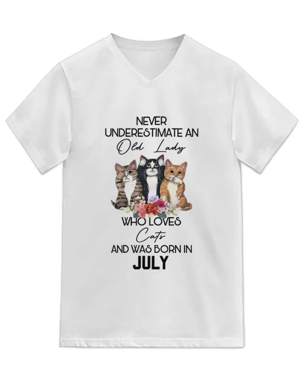 Unisex Jersey SS V-Neck T-Shirt