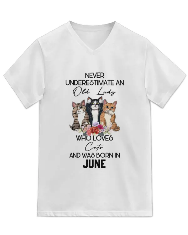 Unisex Jersey SS V-Neck T-Shirt