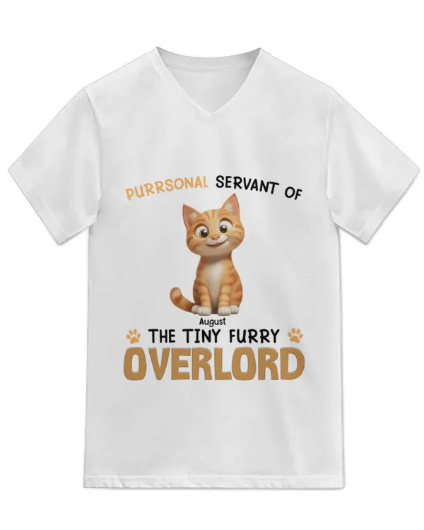 Unisex Jersey SS V-Neck T-Shirt