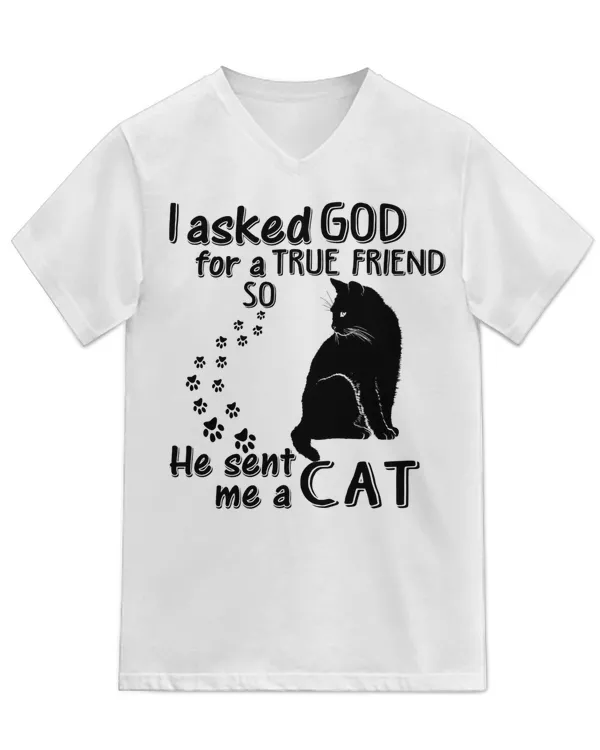 Unisex Jersey SS V-Neck T-Shirt