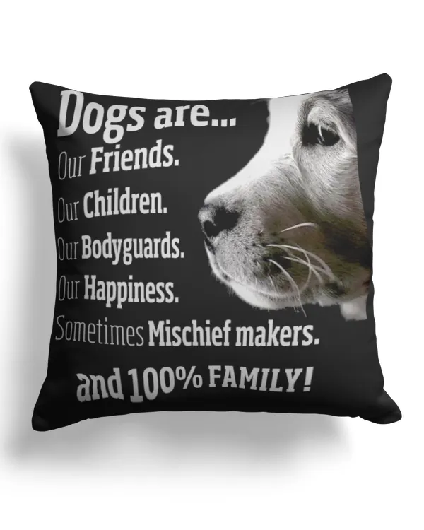 Canvas Pillow (Dual Sided)