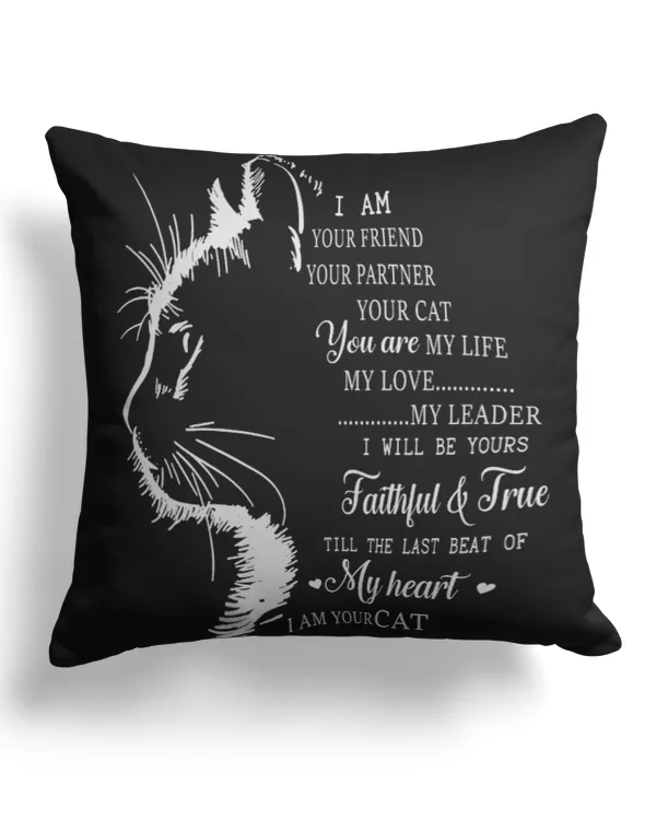 Canvas Pillow (Dual Sided)