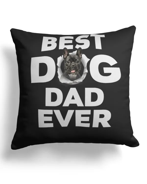 Canvas Pillow (Dual Sided)