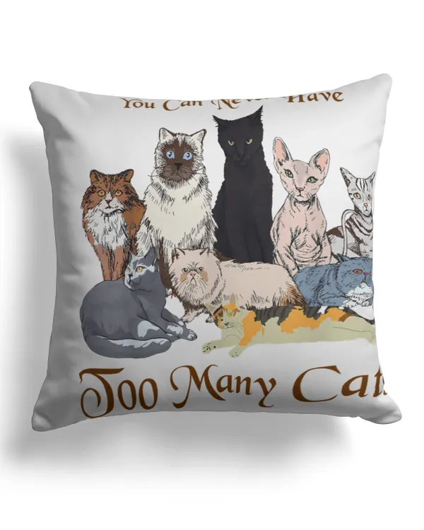 Canvas Pillow (Dual Sided)