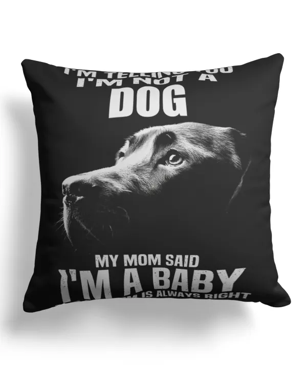 Linen Pillow (Dual Sided)