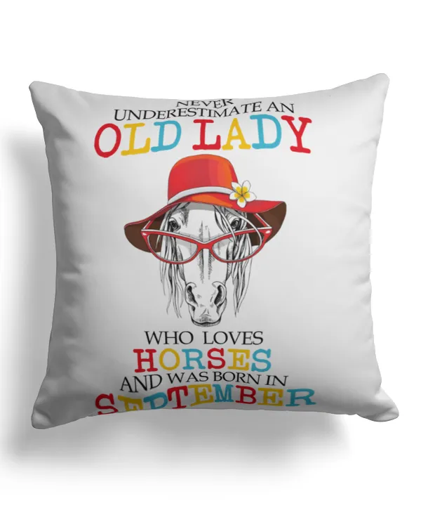 Cotton Drill Pillow (Dual Sided)