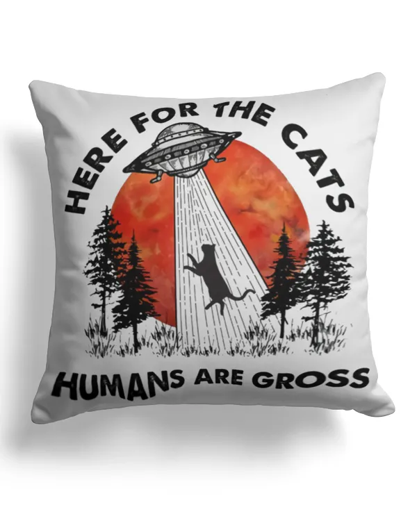 Cotton Drill Pillow (Dual Sided)