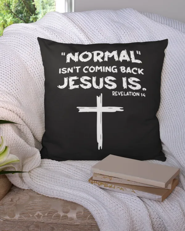 Cotton Drill Pillow (Dual Sided)