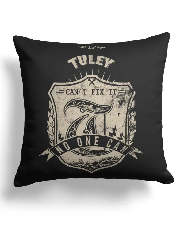 Cotton Drill Pillow (Dual Sided)