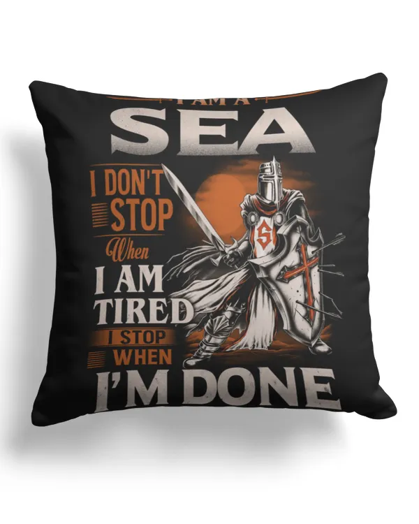 Cotton Drill Pillow (Dual Sided)