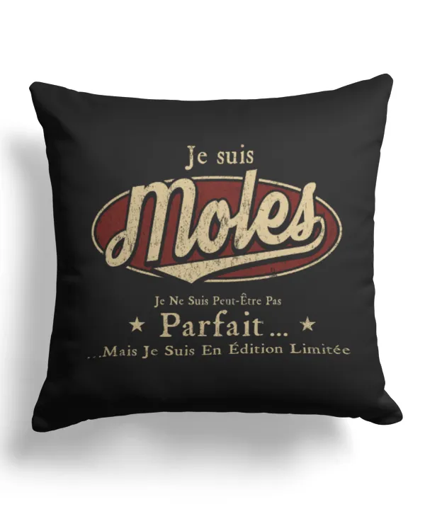 Cotton Drill Pillow (Dual Sided)