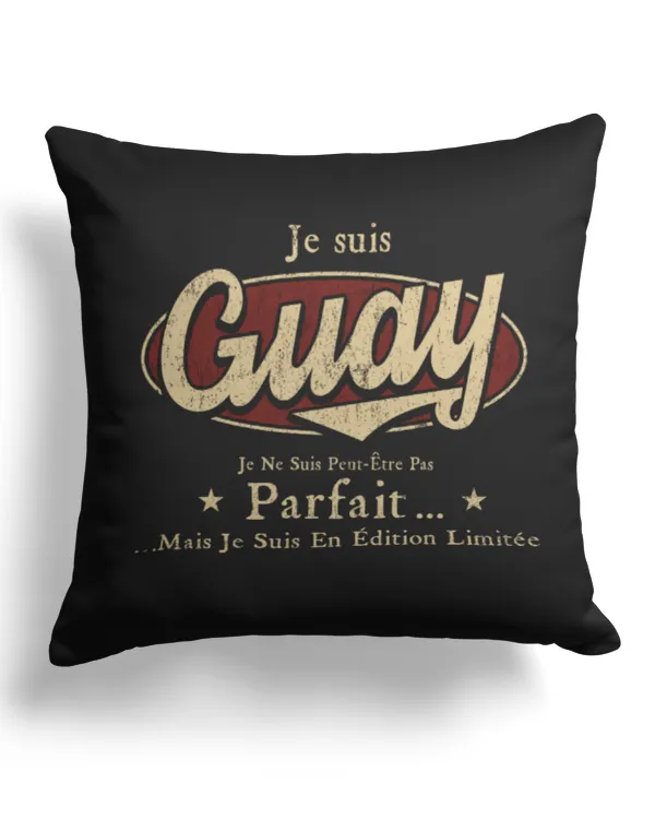 Cotton Drill Pillow (Dual Sided)