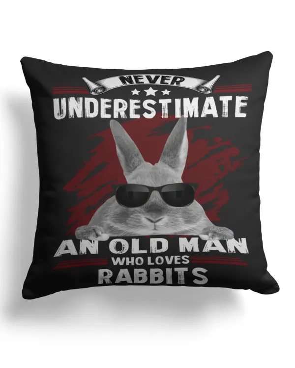 Cotton Drill Pillow (Dual Sided)